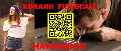 шишки Кандалакша