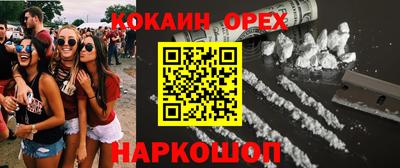 шишки Кандалакша