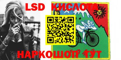 шишки Кандалакша