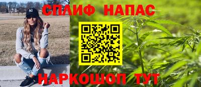 шишки Кандалакша