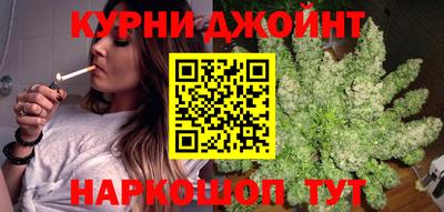 шишки Кандалакша