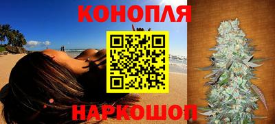 шишки Кандалакша