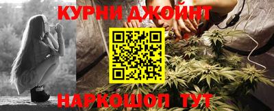 шишки Кандалакша