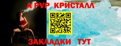 шишки Кандалакша