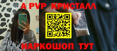 шишки Кандалакша