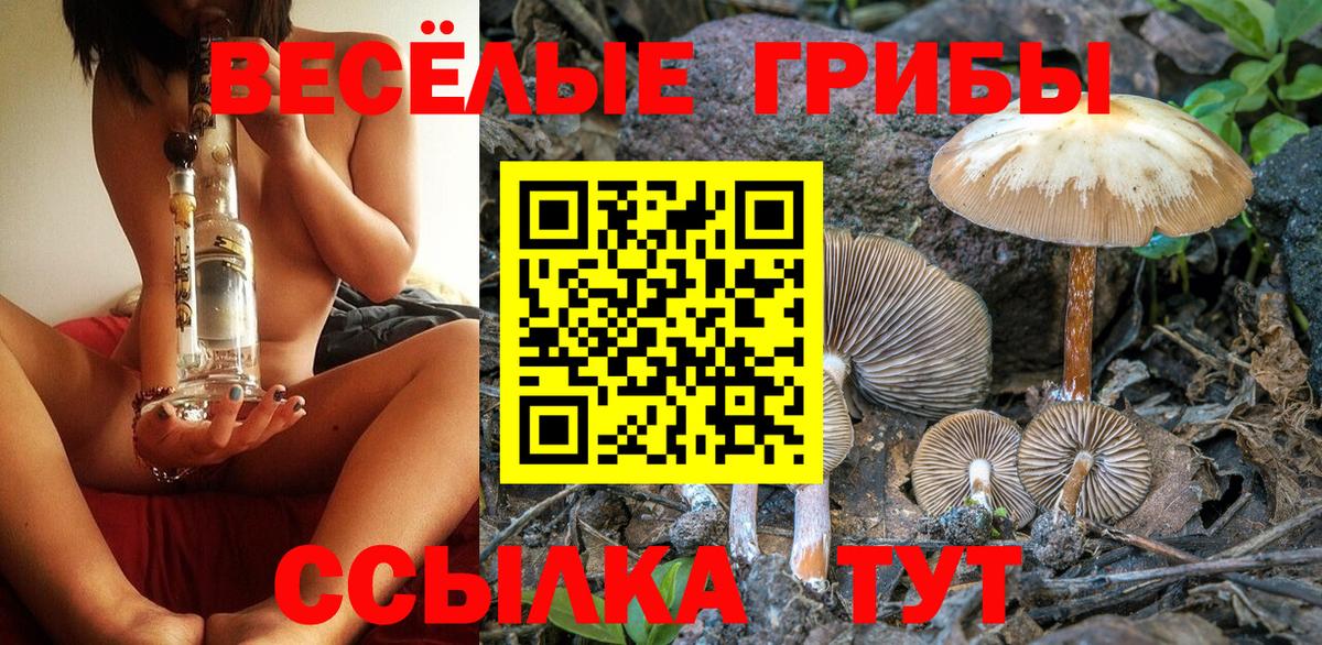Галлюциногенные грибы GOLDEN TEACHER Лабытнанги