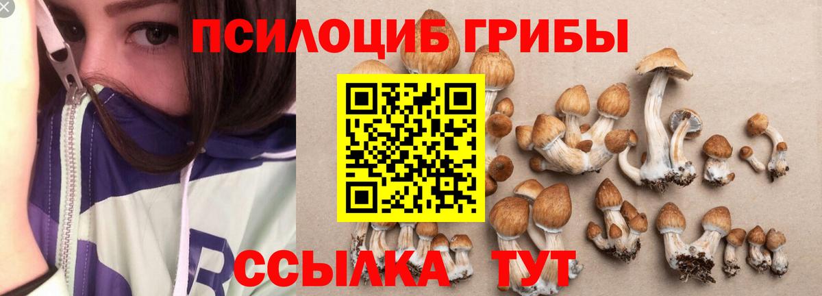 Псилоцибиновые грибы GOLDEN TEACHER  как найти наркотики  Лабытнанги  Вход с VPN 